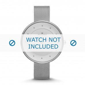 Watch strap Skagen SKW2140 / 237XXXX Steel 14mm