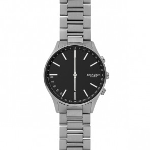 Watch strap Skagen SKT1305 Titanium 20mm