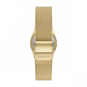 Watch strap Skagen SKW1152SET Milanese Gold Toned 16mm