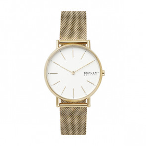 Watch strap Skagen SKW2795 Stainless steel Gold Toned 18mm