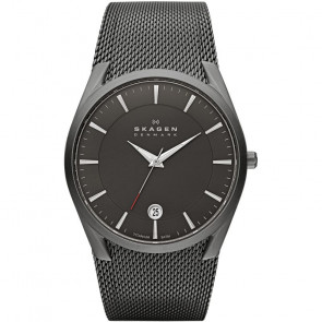 Watch strap Skagen SKW6010 Titanium 30mm