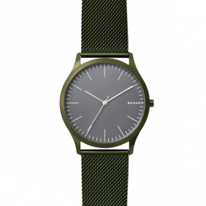 Skagen watch strap SKW6425 Metal Green 22mm