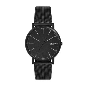 Watch strap Skagen SKW6579 / 25XXXX / 134XXXX / 400XXXX Milanese Black 20mm