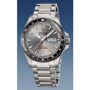 Watch strap Festina F20698 Steel Titanium