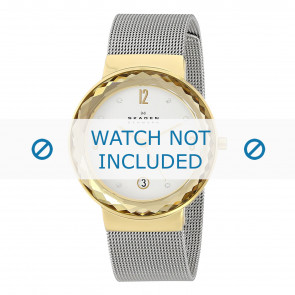 Skagen watch strap SKW2002 Metal Silver