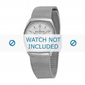 Skagen watch strap SKW2049 Metal Silver 14mm