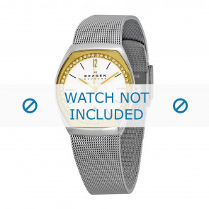 Skagen watch strap SKW2050 Metal Silver