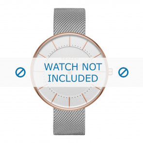 Skagen watch strap SKW2583 Metal Silver