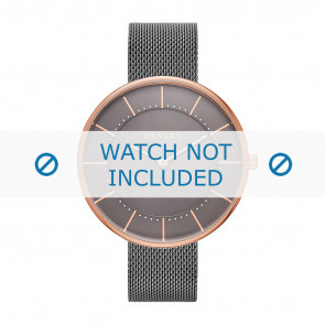 Skagen watch strap SKW2584 Metal Grey 16mm