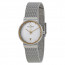 Watch strap Skagen 355SGSC Steel