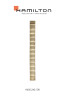 Watch strap Hamilton H600.243.100 / STAAL Steel Gold toned 17mm