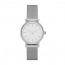 Watch strap Skagen SKW2441 Milanese Steel