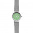 Watch strap Skagen SKW2777 Milanese Steel 14mm