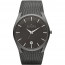 Watch strap Skagen SKW6010 Titanium 30mm
