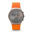 Watch strap Skagen SKW6074 Silicone Orange 26mm