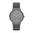 Watch strap Skagen SKW6320 Leather Grey