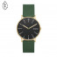 Watch strap Skagen SKW6861 Leather Green 20mm