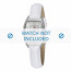 Tommy Hilfiger watch strap TH-48-3-14-0712 - TH679300951 / 1780761 Leather White 12mm + white stitching